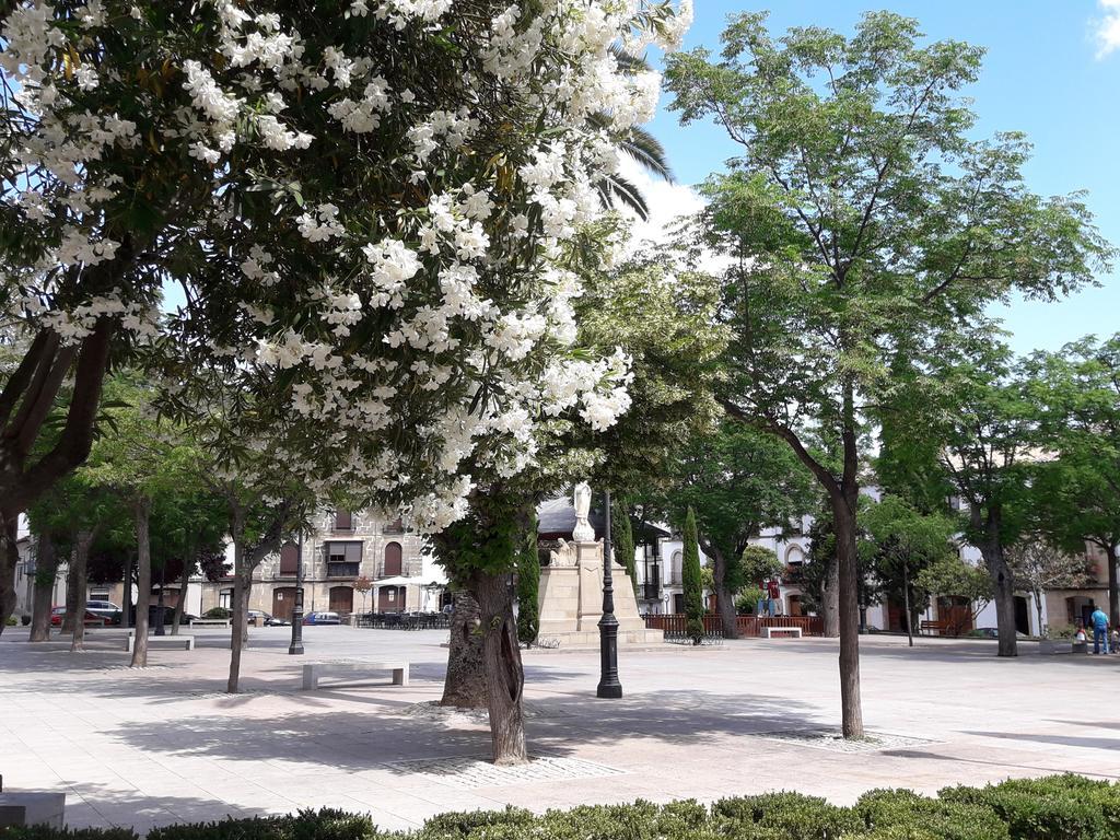 Apartamentos Sol De Mayo Úbeda Exterior foto